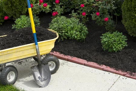 Mulch 101: An Aesthetic And Functional Landscape Feature