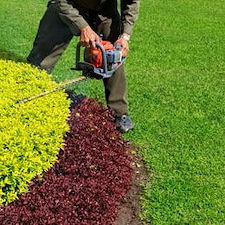 Why Expert Shrub And Tree Trimming Is Always A Good Investment