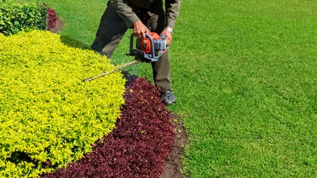 Why Expert Shrub And Tree Trimming Is Always A Good Investment