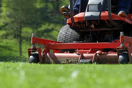 How Often Should You Mow Your Lawn in Louisiana’s Growing Season?