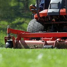 How Often Should You Mow Your Lawn in Louisiana’s Growing Season?
