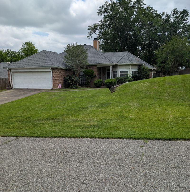 How Often Should I Have My Lawn Mowed