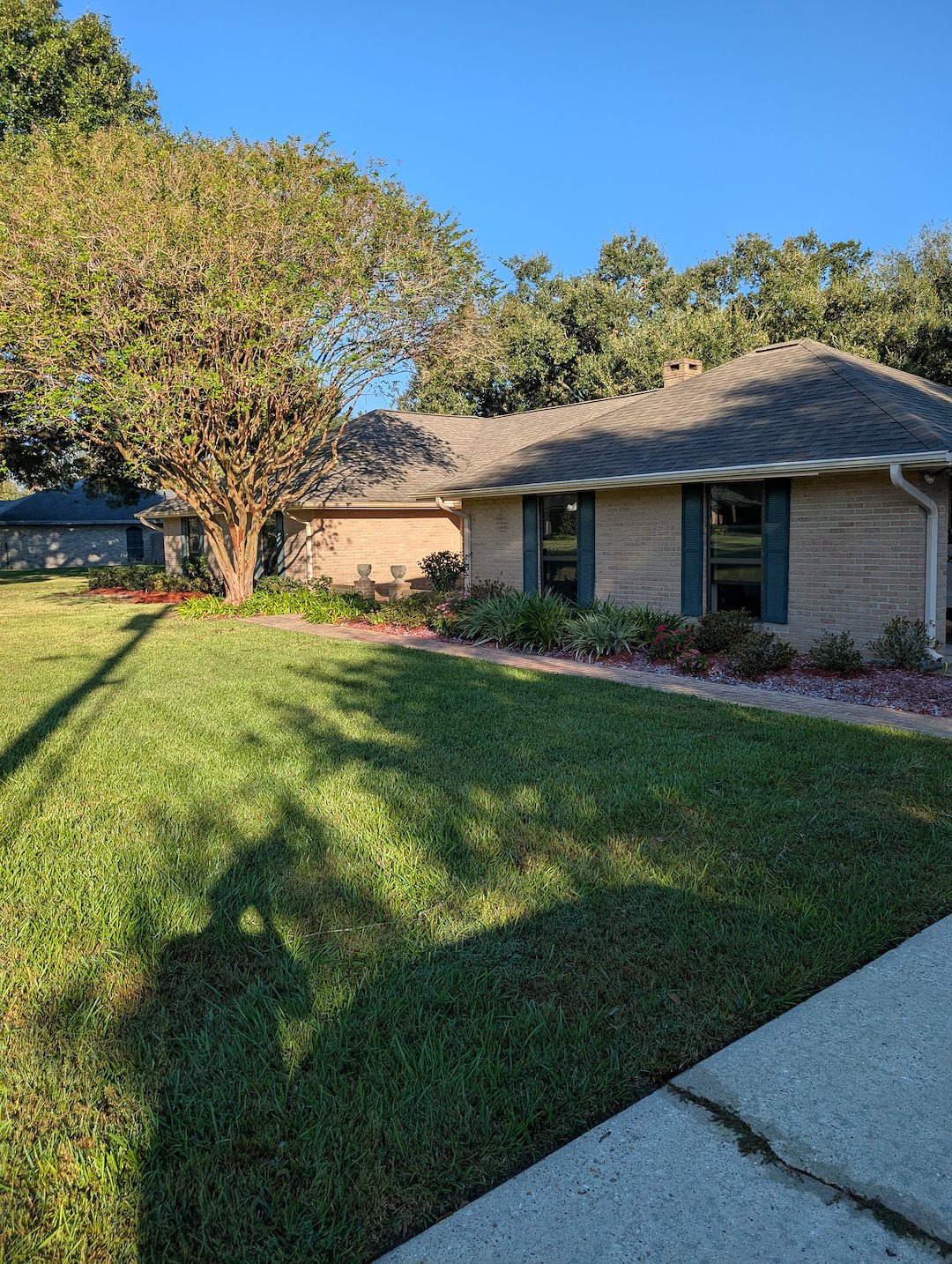 Professional Landscaping refurbish and clean up in Scott Louisiana 