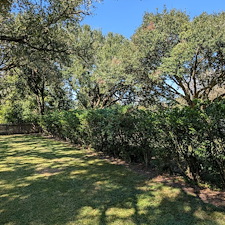 Professional-Landscaping-refurbish-and-clean-up-in-Scott-Louisiana 0