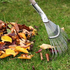 Debris Removal