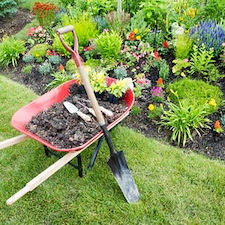 Flower Bed Maintenance