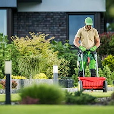 Lawn Fertilization